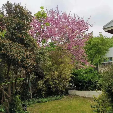 Luxueux 3+1 Pcs Avec Jardin A 3 Km De Paris *